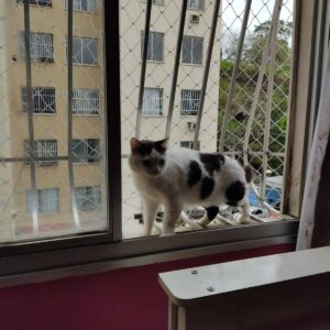 IMG-20201101-WA0007 (1)