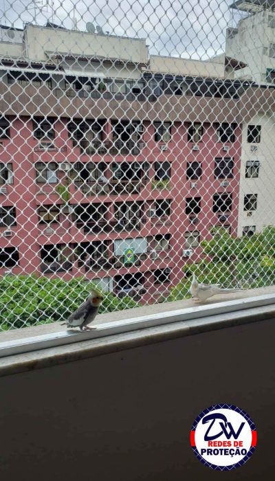 rede de proteção 3x3  janela gato criança calopsita pássaro anti pombo contra